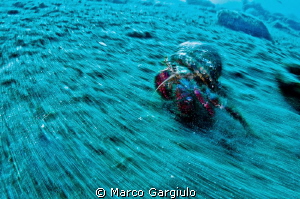 panning in camera then HDR processing by Marco Gargiulo 
